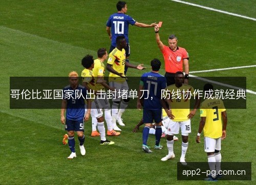 哥伦比亚国家队出击封堵单刀，防线协作成就经典